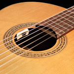 LR Baggs Tru-Mic & Element Pickip System for Nylon String Guitars - Anthem SL Classical