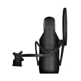 Aston Microphones Large Diaphragm Cardioid Condenser Microphone Bundle - Element Bundle
