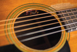 LR Baggs Acoustic Guitar Microphone - Lyric