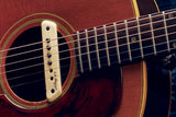 LR Baggs Acoustic Guitar Soundhole Active Magnetic Pickup - M1 Active